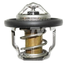 Termostat Yanmar 119717-49800