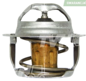 Termostat Cat 301.5